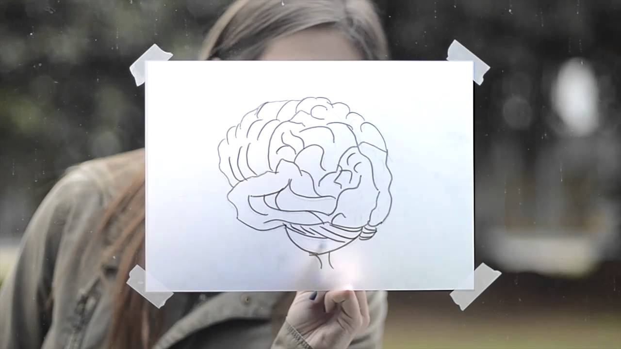 Daltonismo, la percepción de los colores