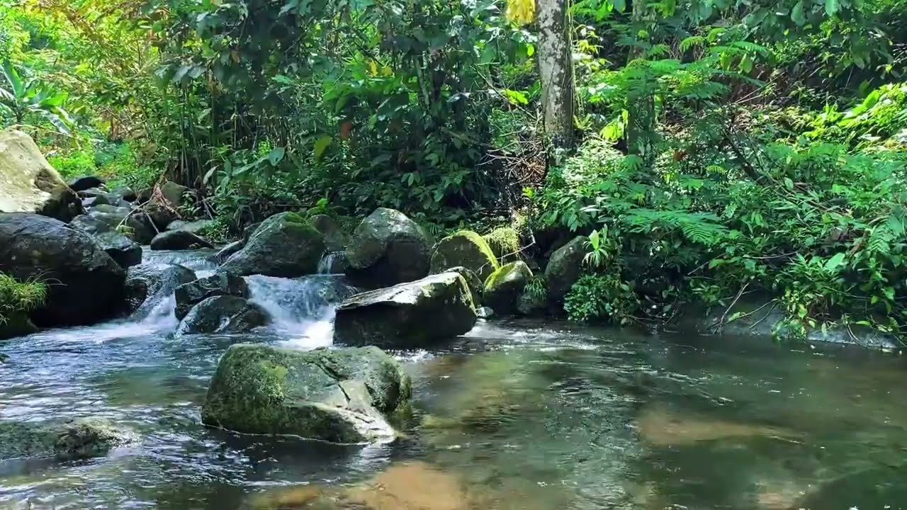 When Your Mind Won’t Rest 🌙 Gentle River Sounds as Natural Sleep Medicine