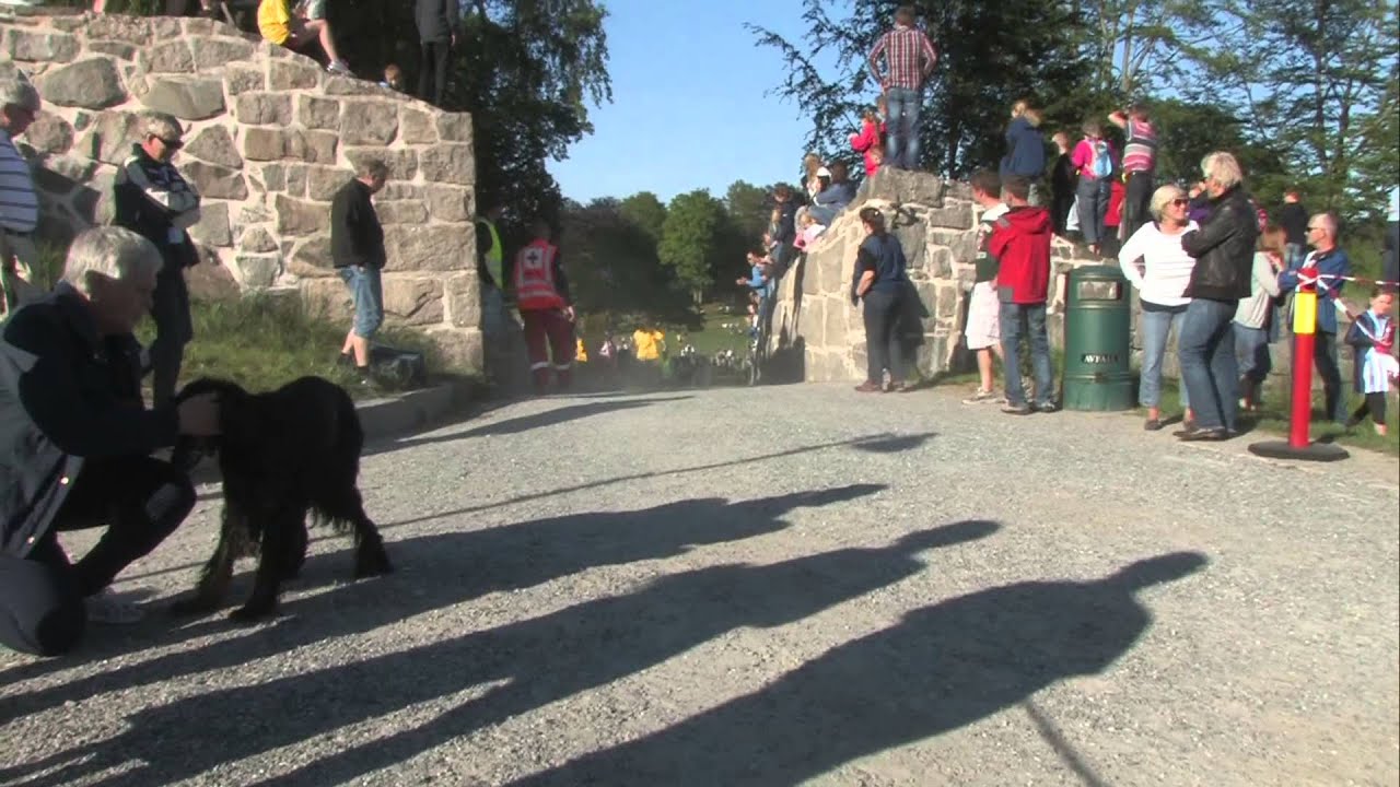 Fredrikstenstafetten 2014 - TVHalden