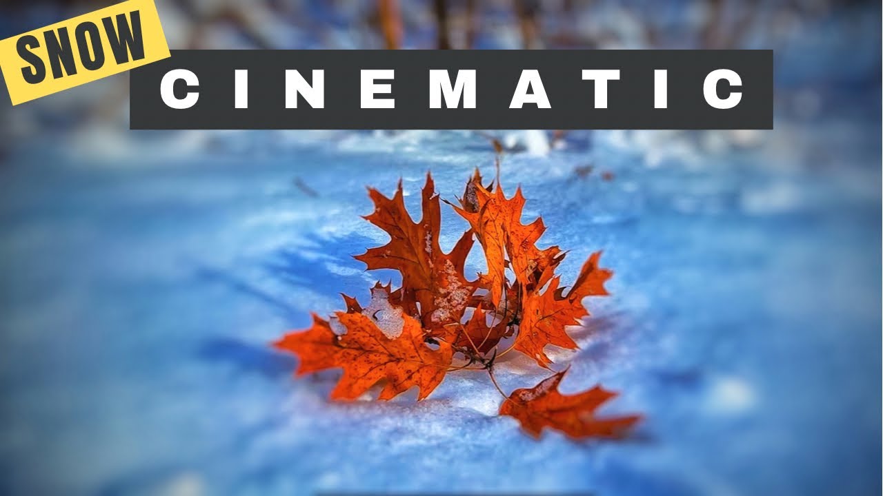 Snow Cinematic | Snow Cinematic Video | Winter Cinematic | iPhone 13 Pro Max CINEMATIC