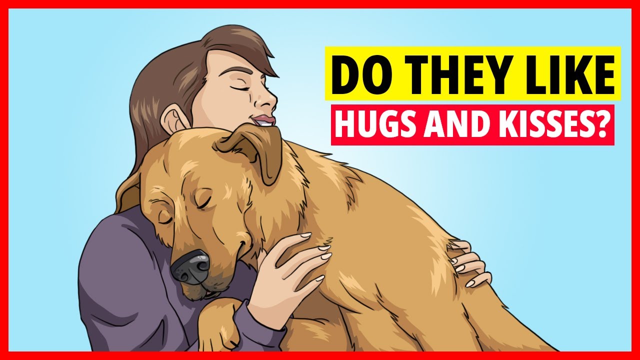 Do Cats and Dogs Actually Like Hugs and Kisses?