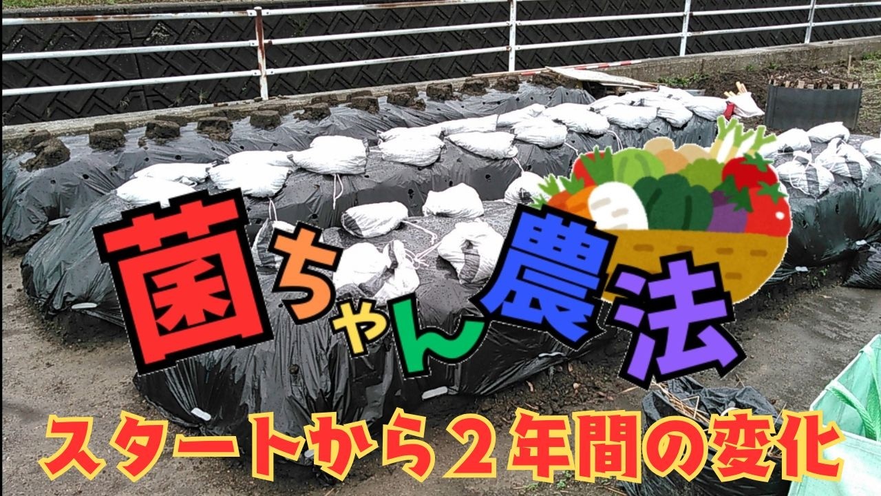 菌ちゃん農法をスタートして丸２年の変化を追ってみました！２年目もウネを作りました【菌ちゃん農法３年目】