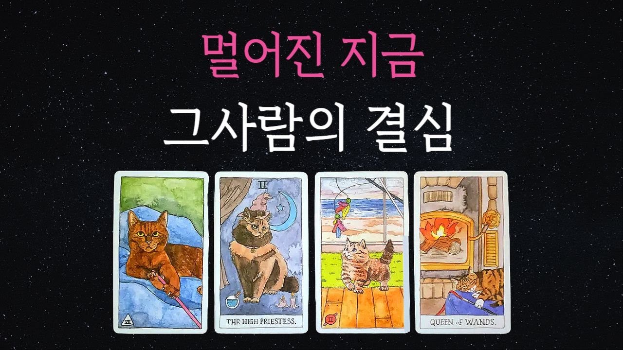 [타로💘]🔮멀어진 그사람, 어떤 결심하고 있나요?🌷속마음,재회,썸🔥연락운🔥연락시기🔥재회