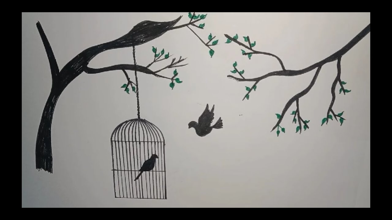 Draw a beautiful bird 🕊️ want freedom easy pencil drawing