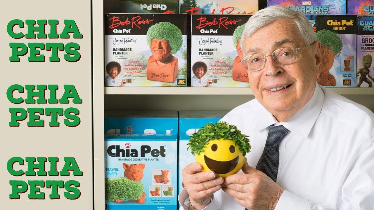 Chia Pet - History and Photos Over the Years - Looking Back over the Landscape of Americana