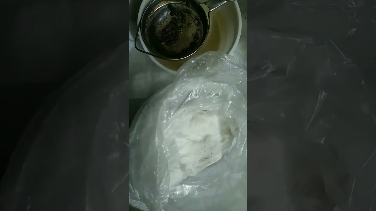 ঘরোয়া জিনীশ পত্রের মাধ্যমে বীজের অংকুরোদগম, চারা করা, অনলাইনে কেনা বীজের হাল হাকিকত ও কিছু বাস্তবতা