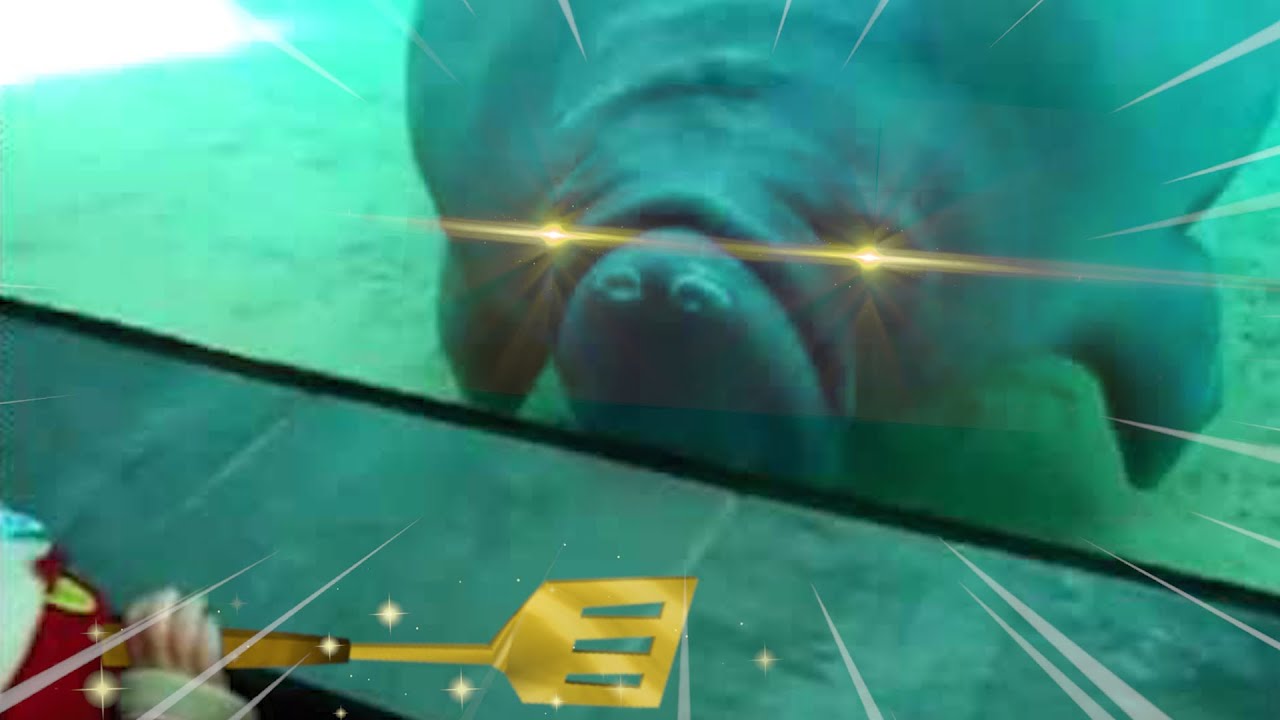 U.R.F. 2020.exe