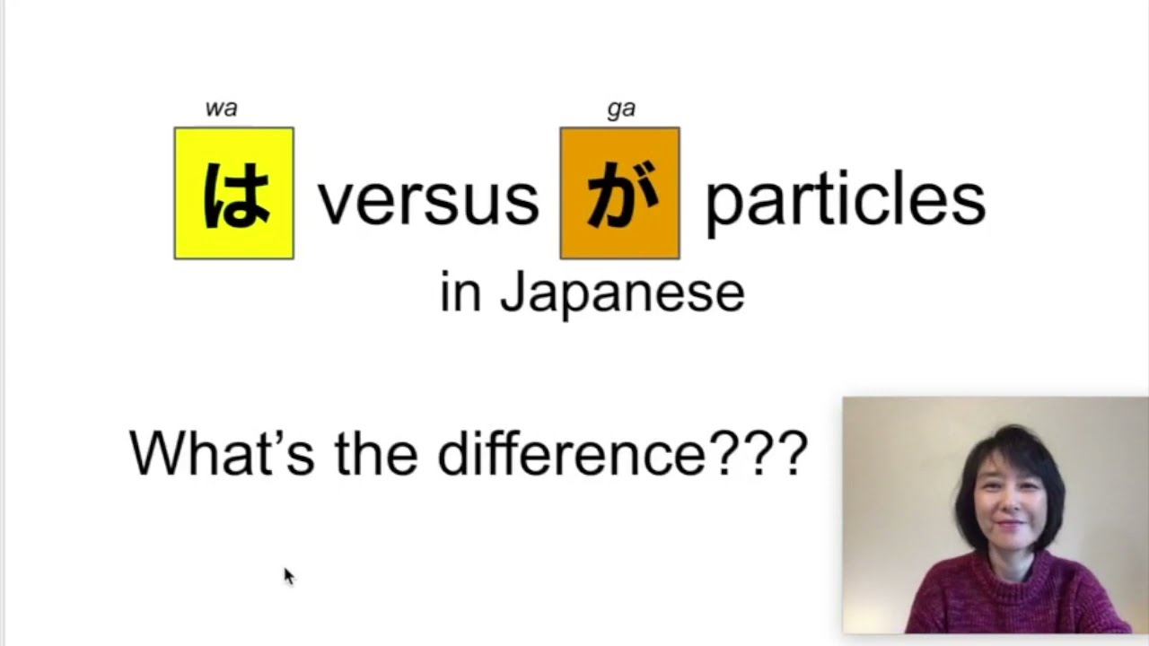 Particles は (wa) versus が (ga)