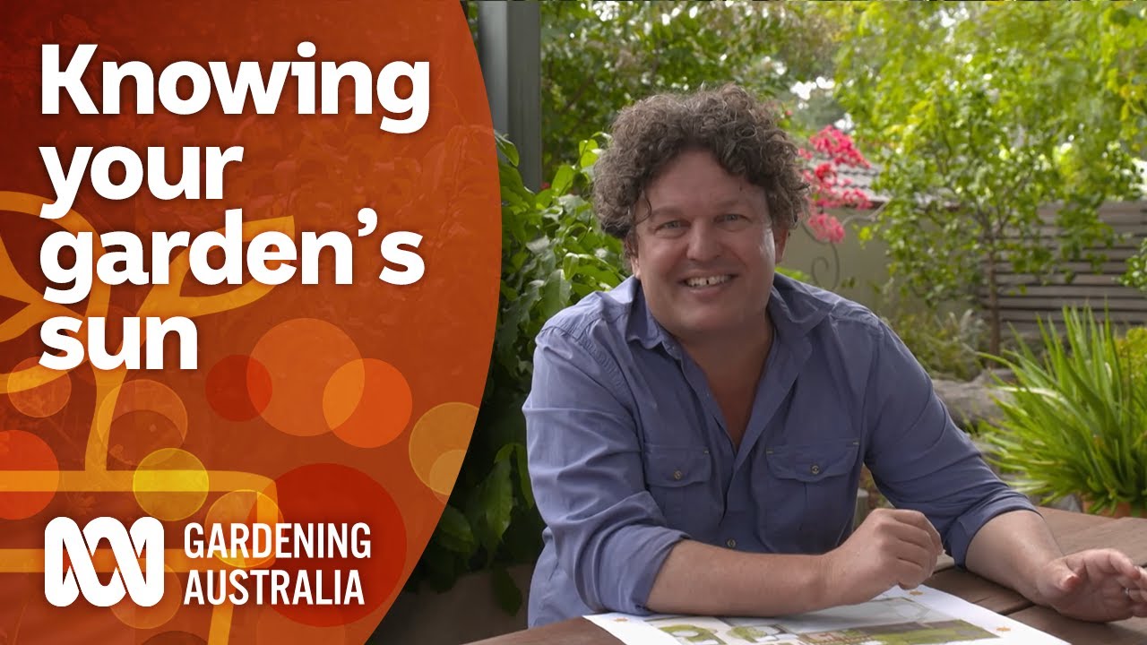 How seasonal sun impacts your garden's health | Gardening 101 | Gardening Australia