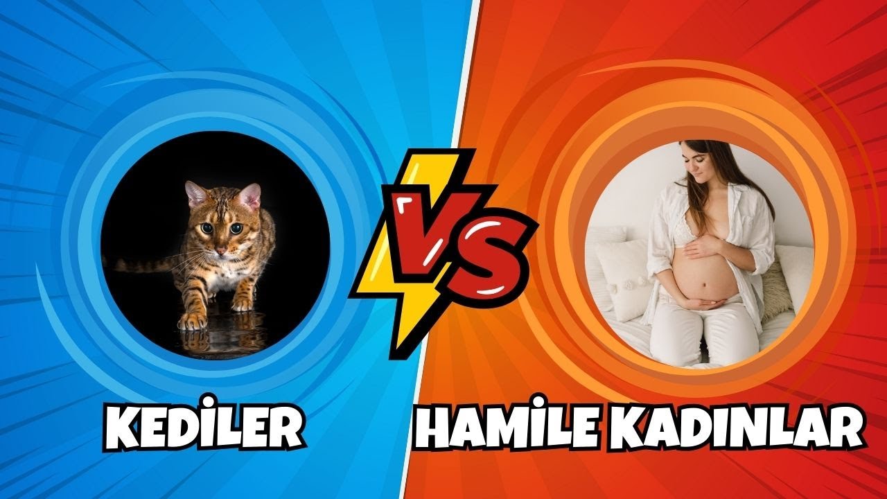 KEDİLERİN BİTMEYEN ÇİLESİ: TOXOPLASMA GONDİİ