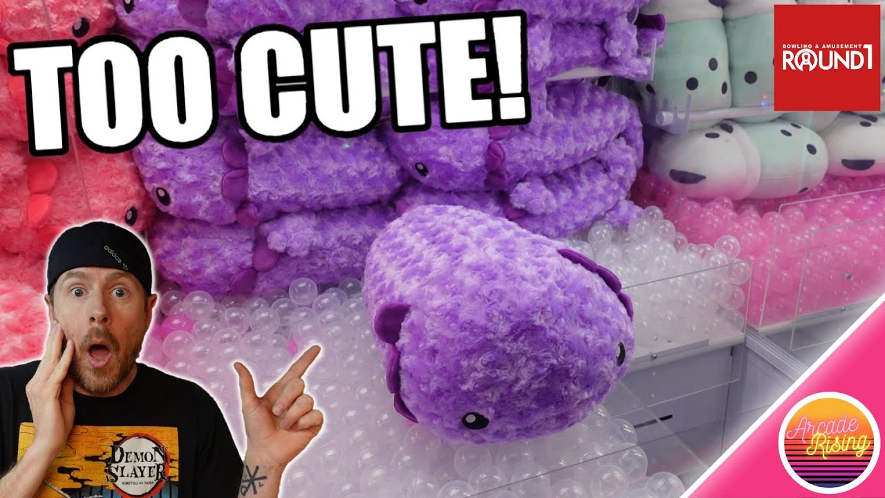 CUTE AND CRAZY! Claw Machine Wins at Round 1