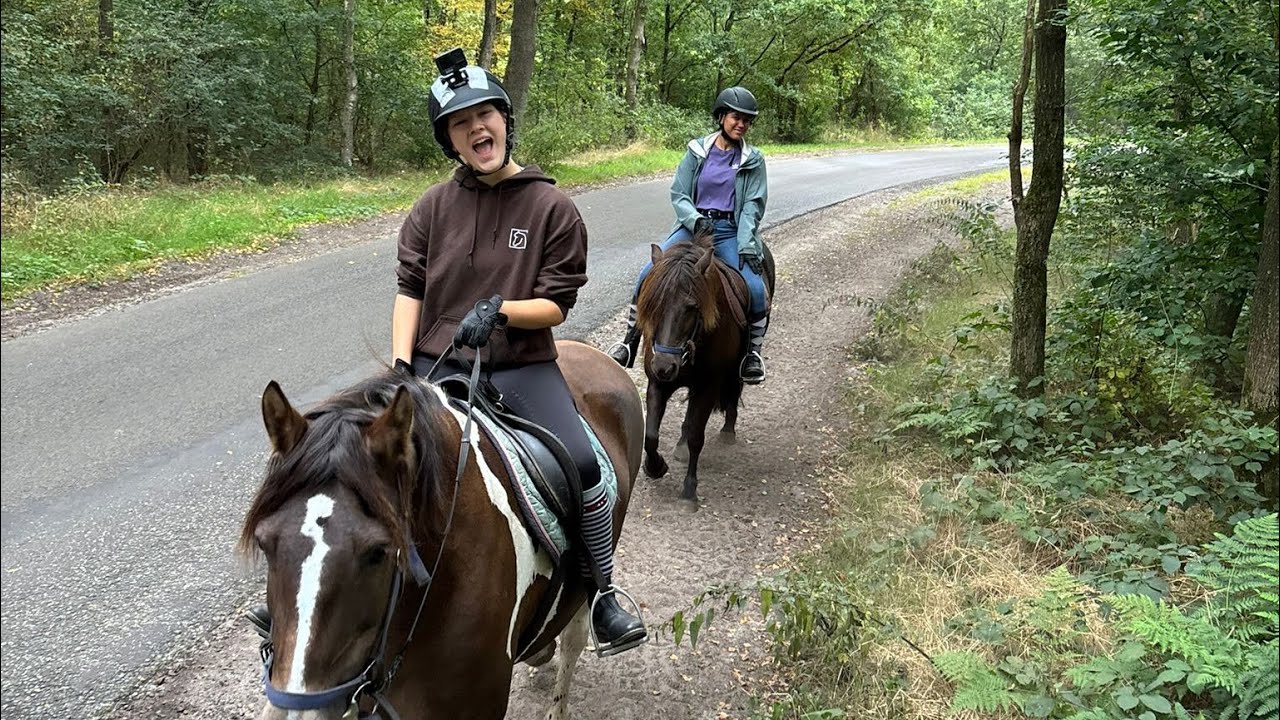 Rc het Fjordenpaard 31 Augustus 2025