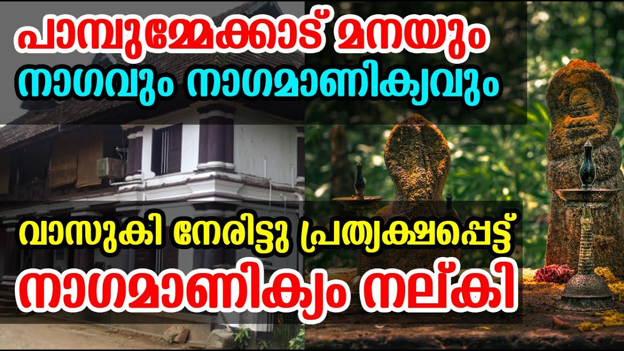 പാമ്പുമ്മേക്കാട് ഐതീഹ്യം ! വാസുകി നേരിട്ട് നല്‍കിയ നാഗ മാണിക്യവും നമ്പൂതിരിയും | Pambummekkatu Mana