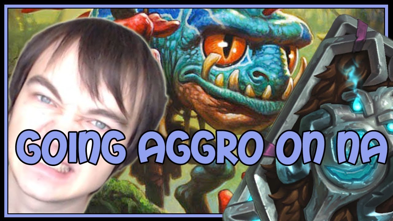 Hearthstone: Going aggro on NA (aggro paladin)