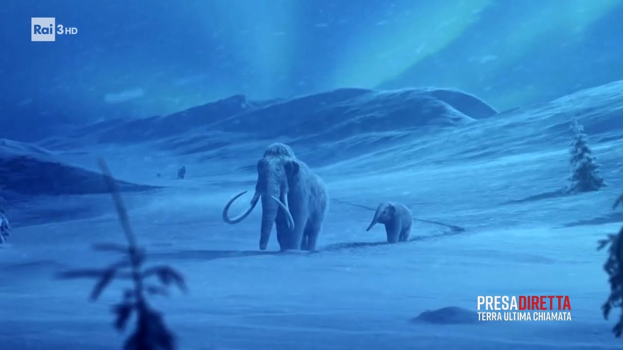 Il ritorno dei mammut - PresaDiretta 12/10/2025