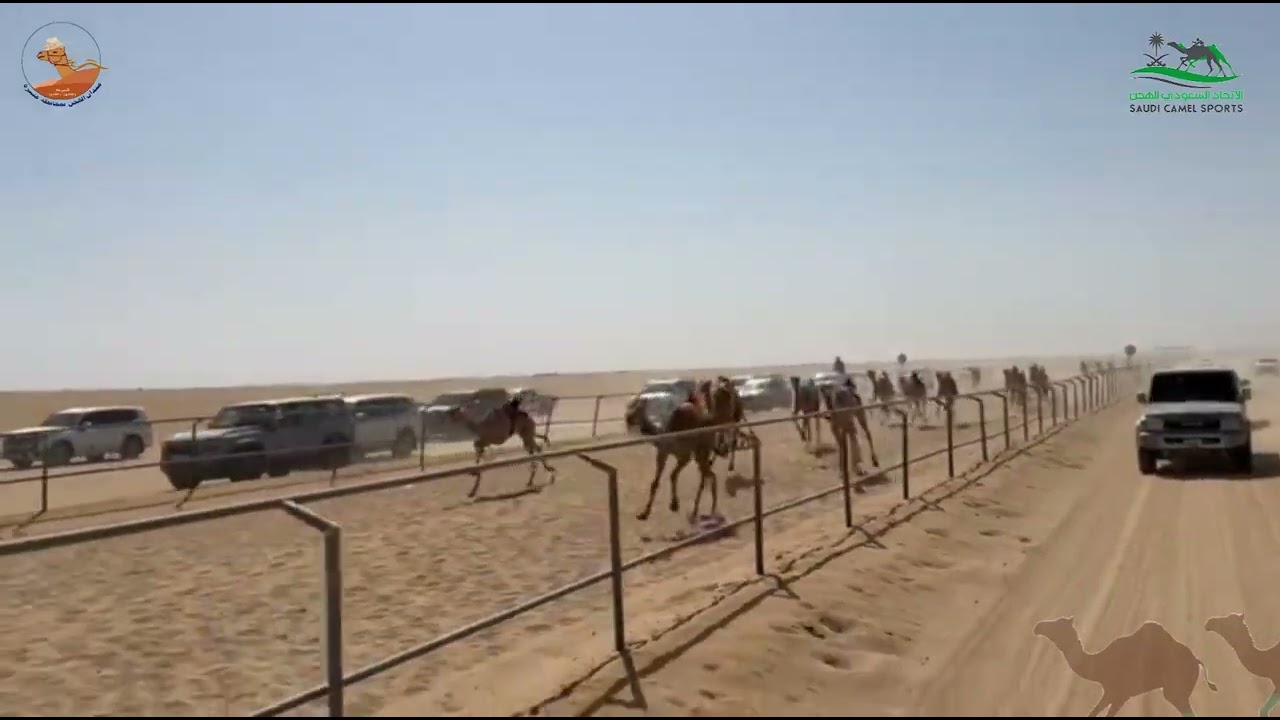 الشوط الرابع بكار حقايق / مخيلة حمد بن محمد المري