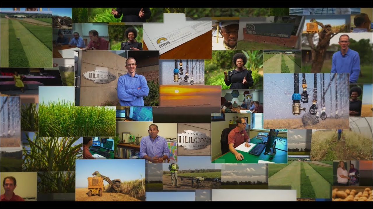 Agricultural Engineering Alumni in Focus