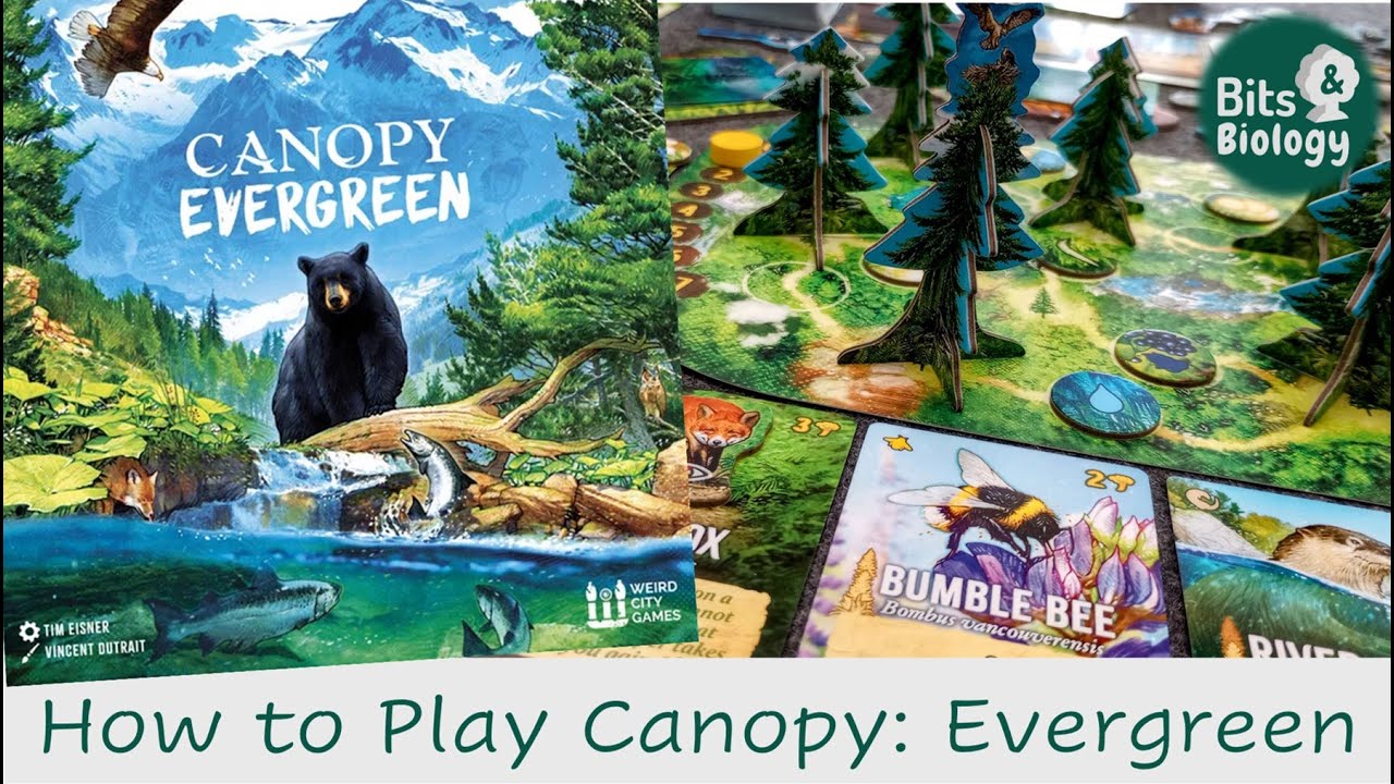 Canopy: Evergreen How to Play | Bits & Biology