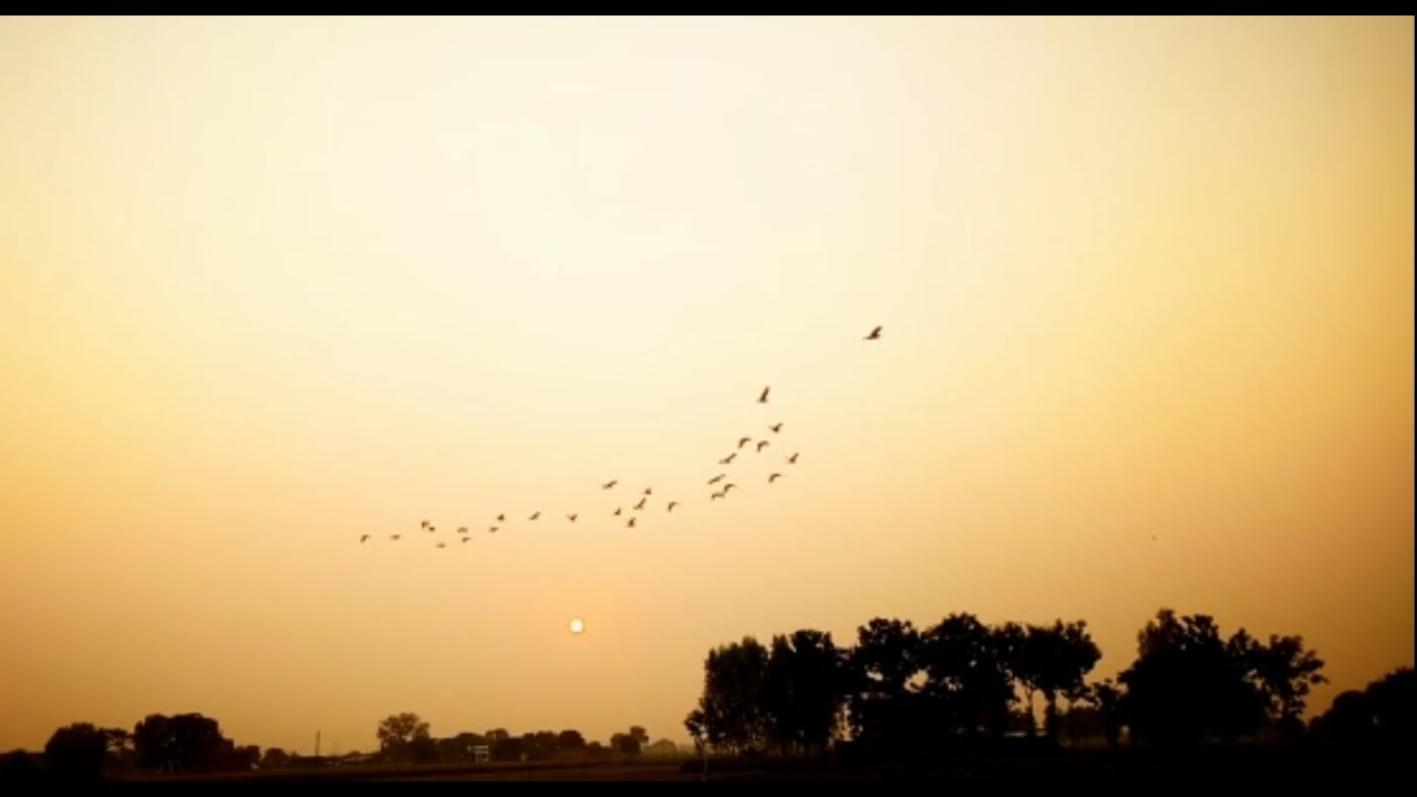 Beautiful morning view of village | Virtual Tours