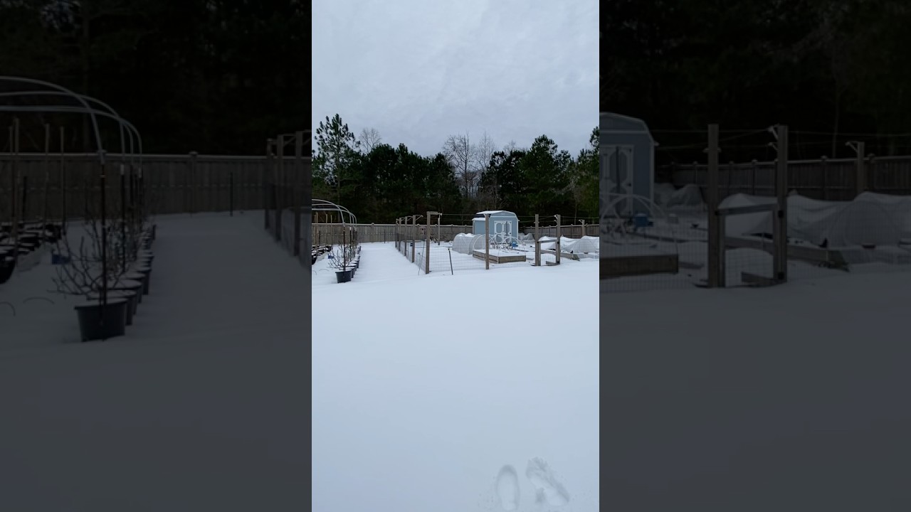 DEEP SNOW In The DEEP SOUTH! ❄️