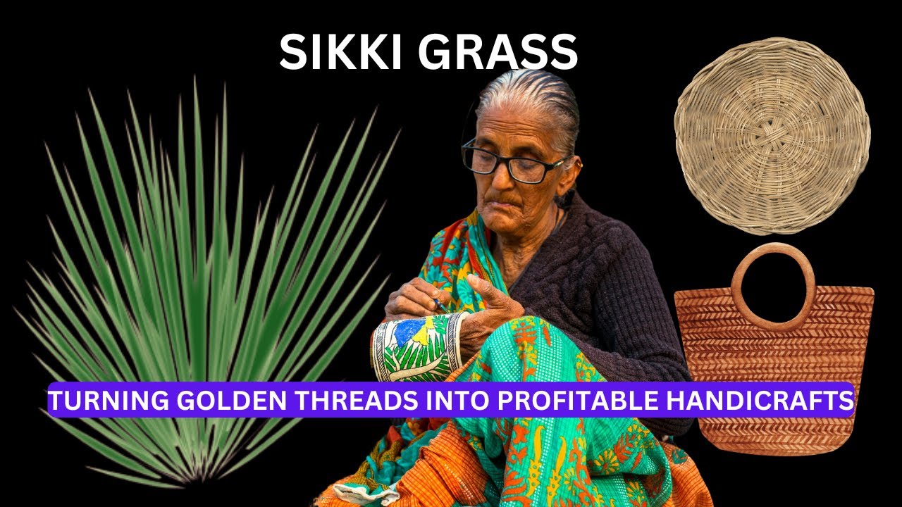 Sikki Grass: Turning Golden Threads into Profitable Handicrafts