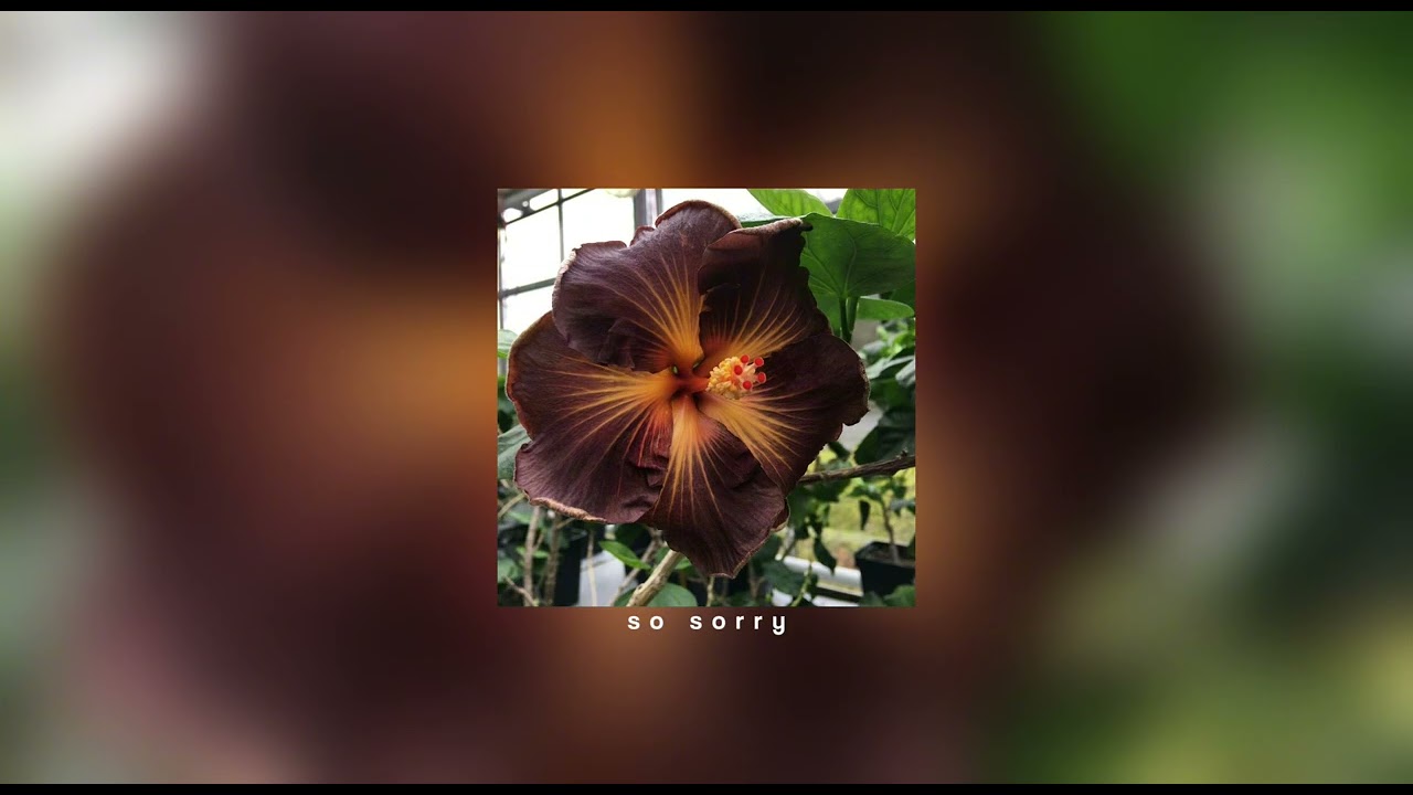 so sorry - lil baby (SPED UP)