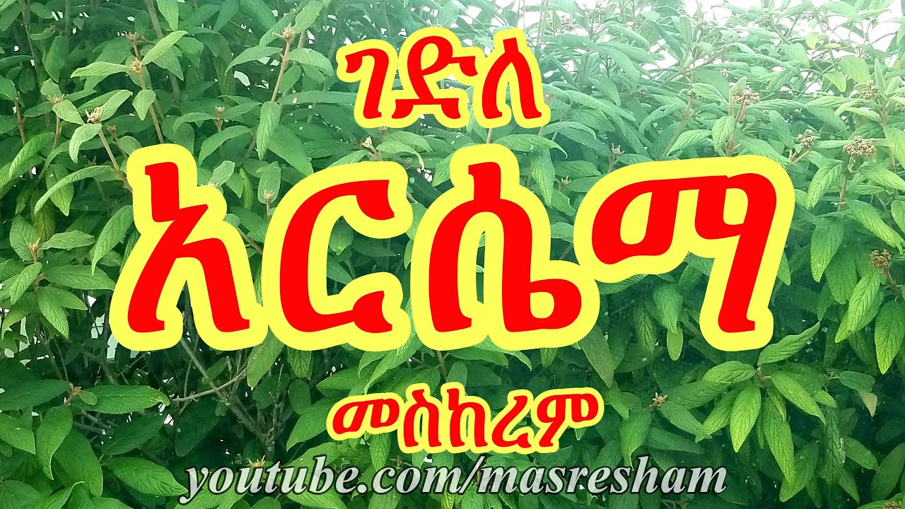 ገድለ አርሴማ መስከረም - Gedile Arsema - Meskerem