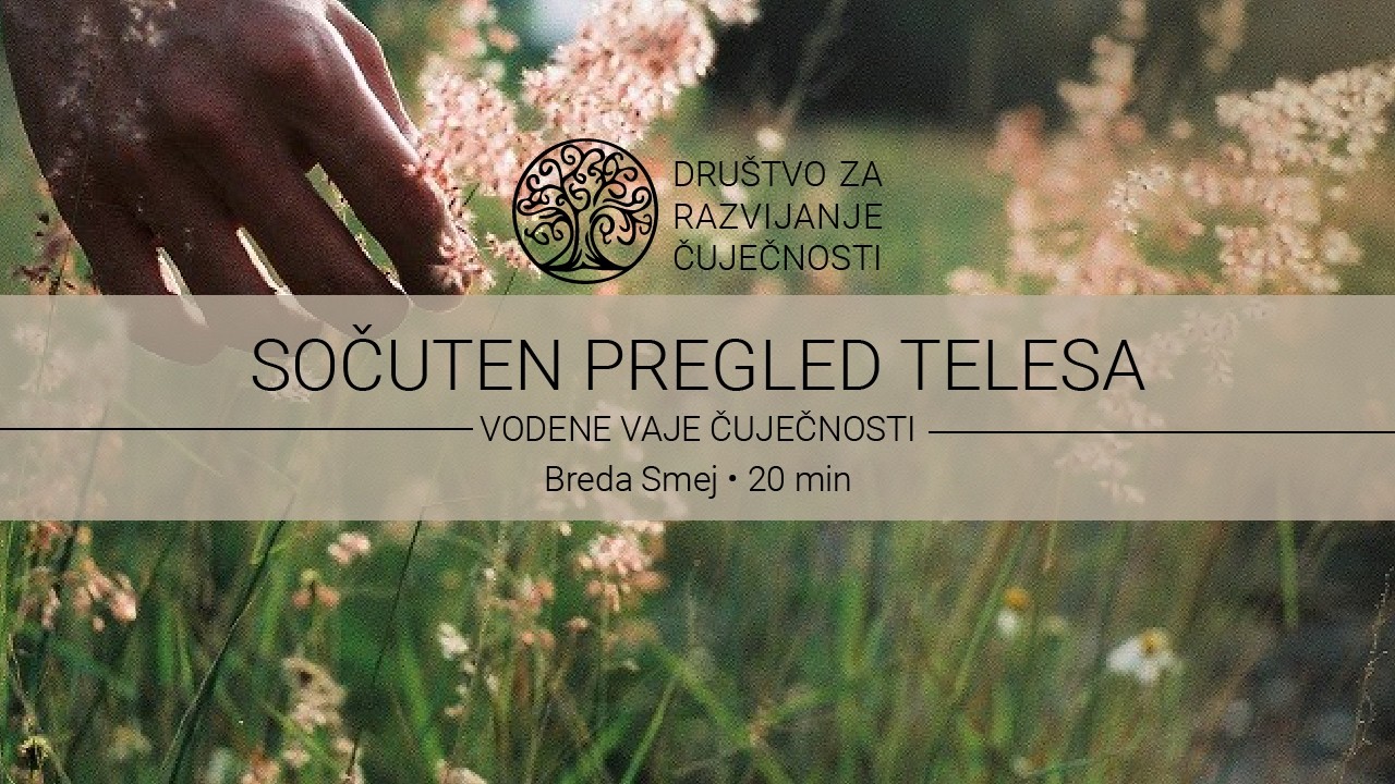 Sočuten pregled telesa - Breda Smej