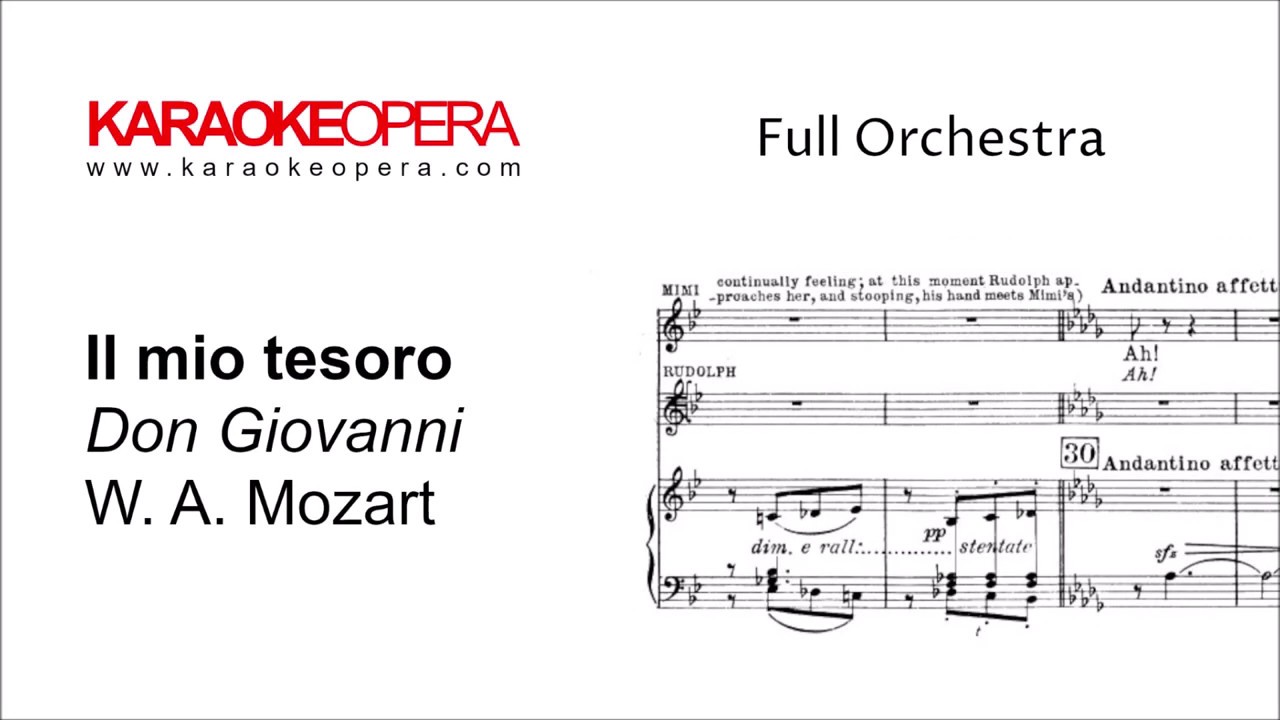 Karaoke Opera: Il Mio Tesoro - Don Giovanni (Mozart) Orchestra Only Version with Printed Music