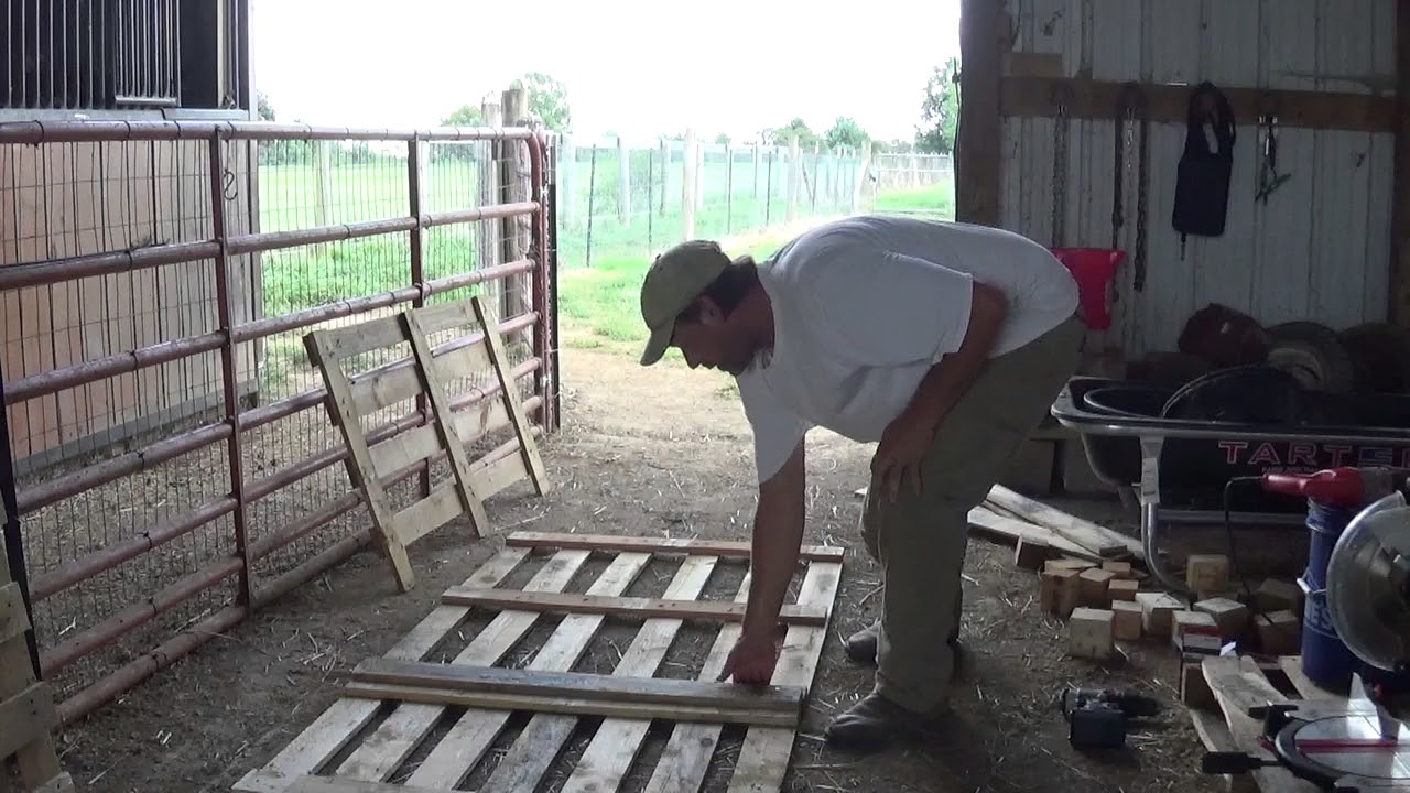 Making A sheep shute out of pallets