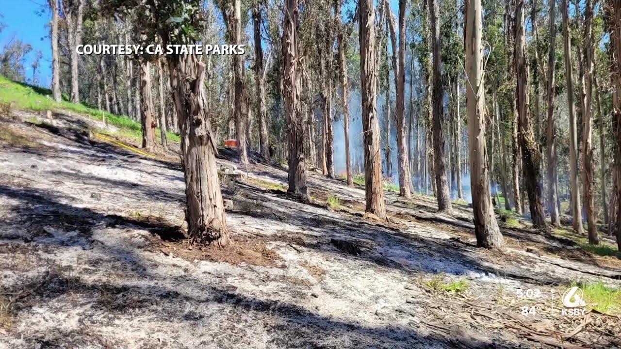 Prescribed burn at Montana de Oro paused due to high heat, wind