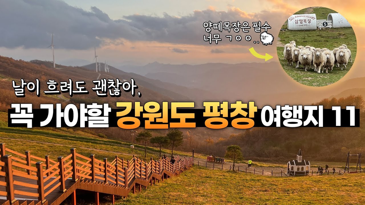 [4K] 평창 1박2일 여행명소 11곳!  (발왕산 케이블카, 가시머리 식당, 신선희 황기찐빵, 삼양라운드힐, 미가연, 월정사, 광천선굴, 육백마지기, 월이메밀닭강정, 전나무숲길)