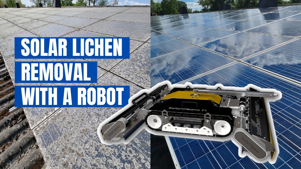How to remove lichen from solar panels with a robot (behind the scenes!)