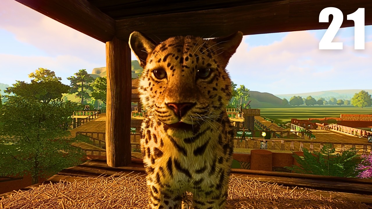 Making a Massive Climbing Habitat for Amur Leopards