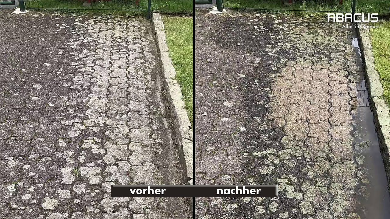 Steinreiniger Extrem &ndash; Der ultraschnelle Flechtenentferner mit Sofortwirkung (Bisher: 