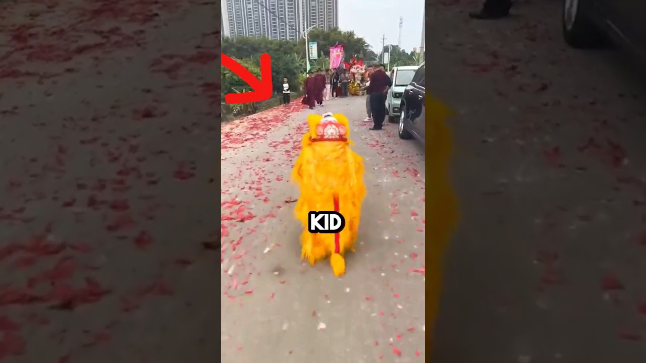 Kid dressed up as a Chinese dragon meets some grown up dragons