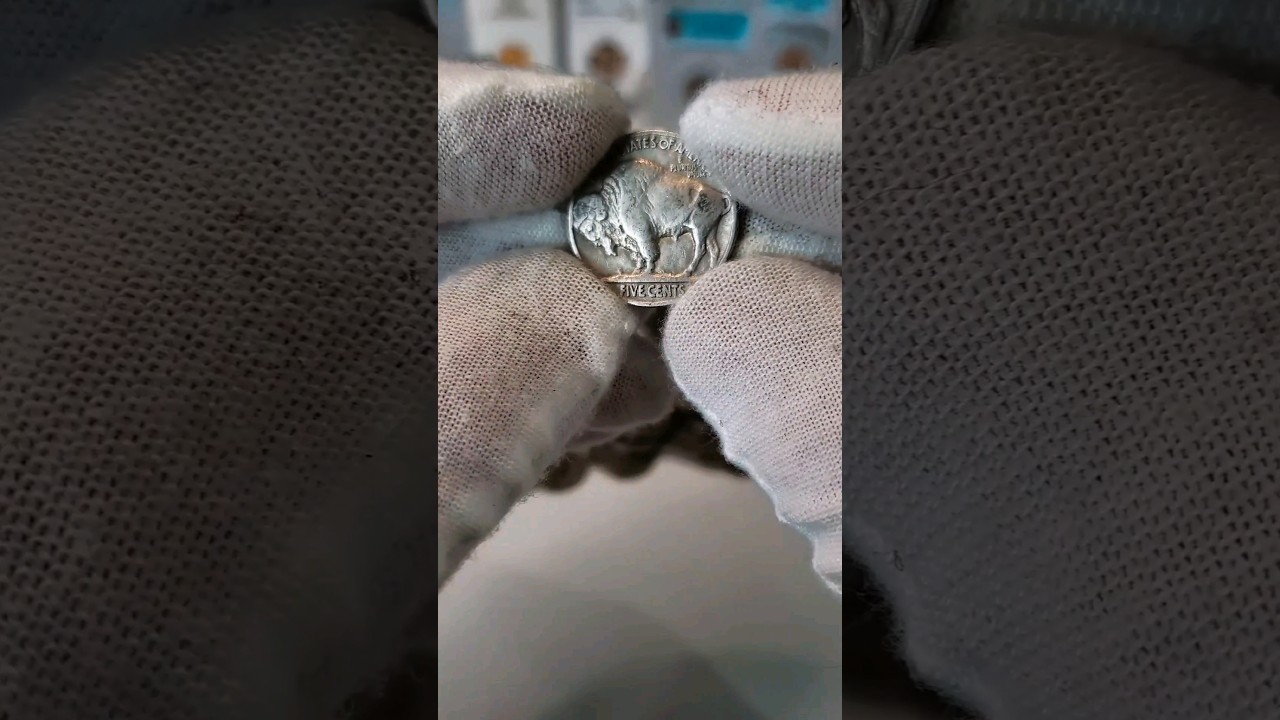 Moneda de 5 centavos MUY BUSCADA por Coleccionistas🦬 Buffalo Nickels - Fecha VALIOSA #coleccionismo