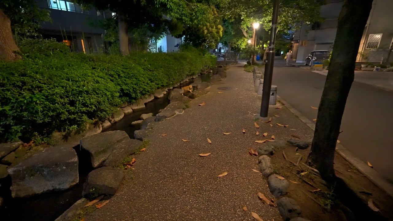 Evening walk along Tokyo Komatsugawasakaigawa Water Park