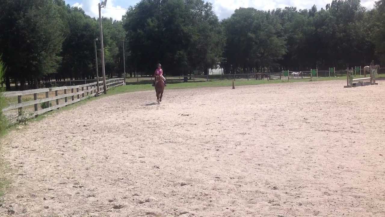 Alex riding a 2ft (61cm) practice pattern at a canter.
