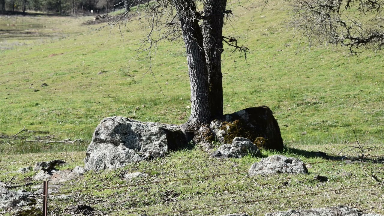 A place called Irish Creek-  A Hill Nisenan ceremony called a 