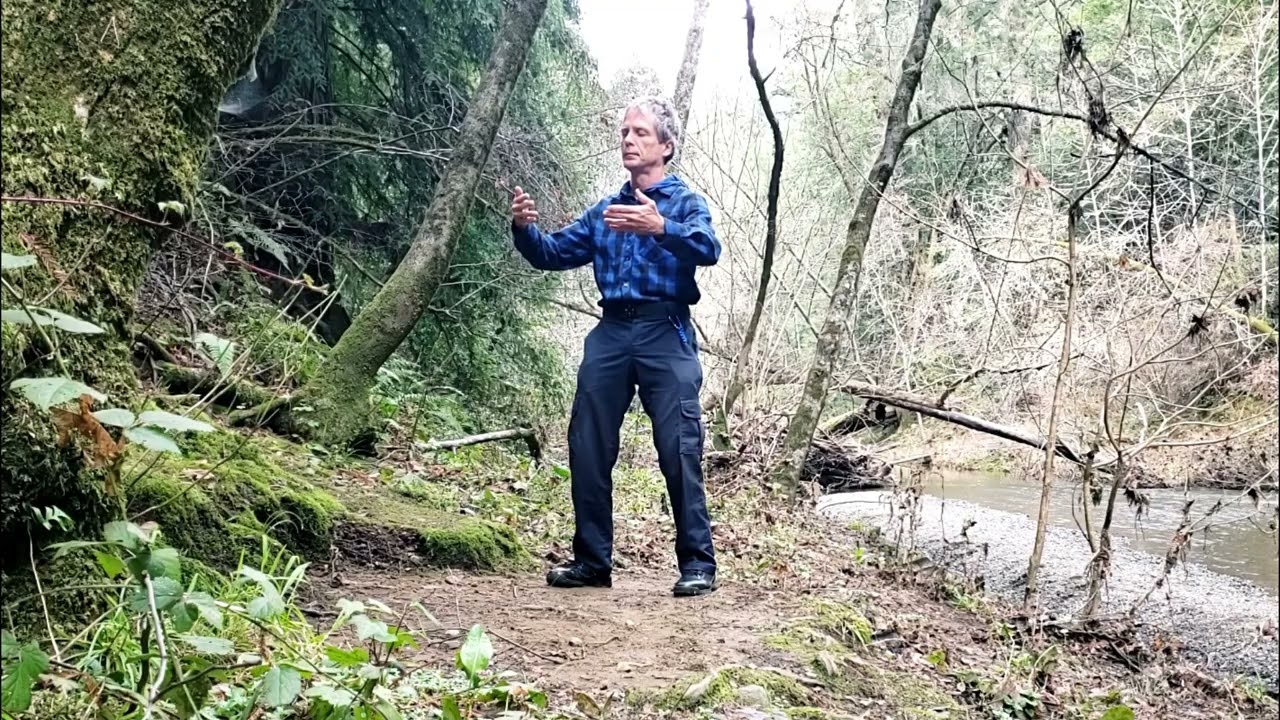 A few moments of zhan zhuang - standing embodied meditation. And more nature.