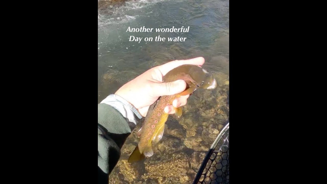 Another wonderful winter day on the water