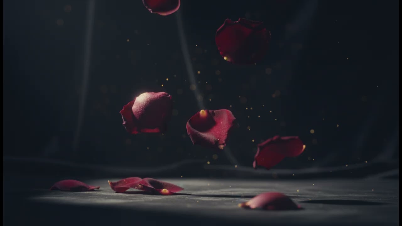 Du öffnest meine Welt