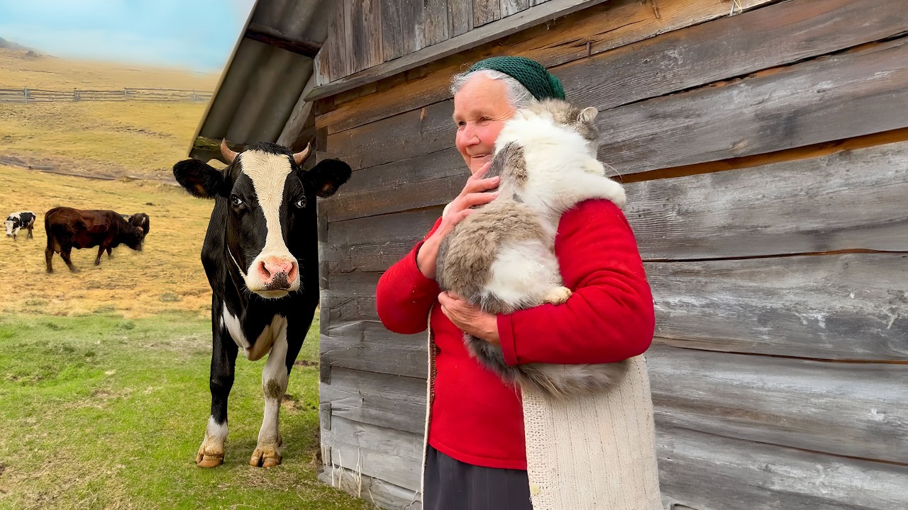 A Day with Grandma Paraska: Milking Cows, Cooking Draniki, and Ukrainian Traditions