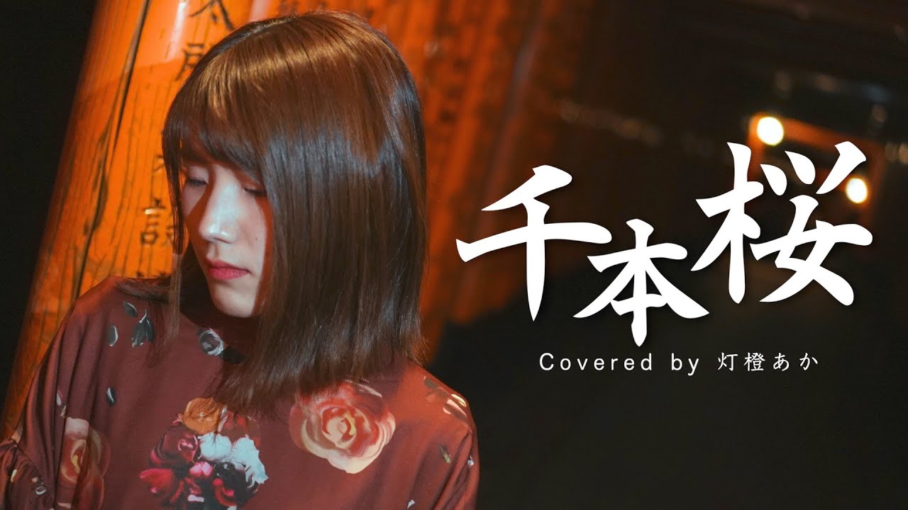 【 MV 】初音ミク / 千本桜 ( 灯橙あか cover )