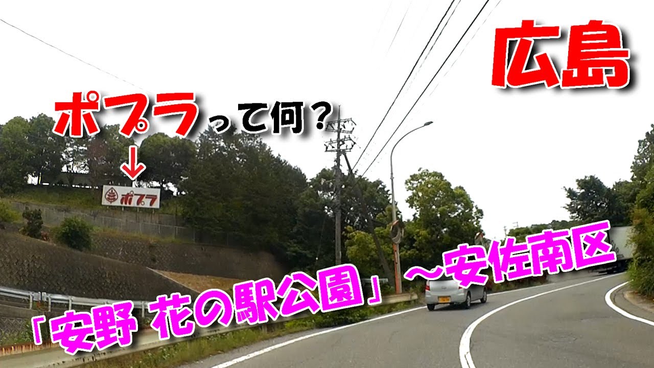 【広島ドライブ】安野 花の駅公園 ～ 安佐南区 ／ ポプラって何？