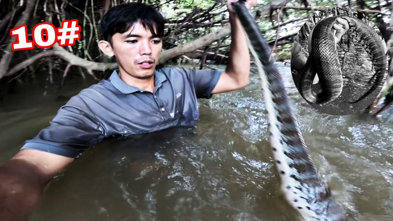 NÓ To Hơn Cả Cánh Tay Người Lớn | 10 Ngày Đêm Sống Trên Sông Săn Cá Lăng Rừng Mùa Nước Lũ ( Phần 1)