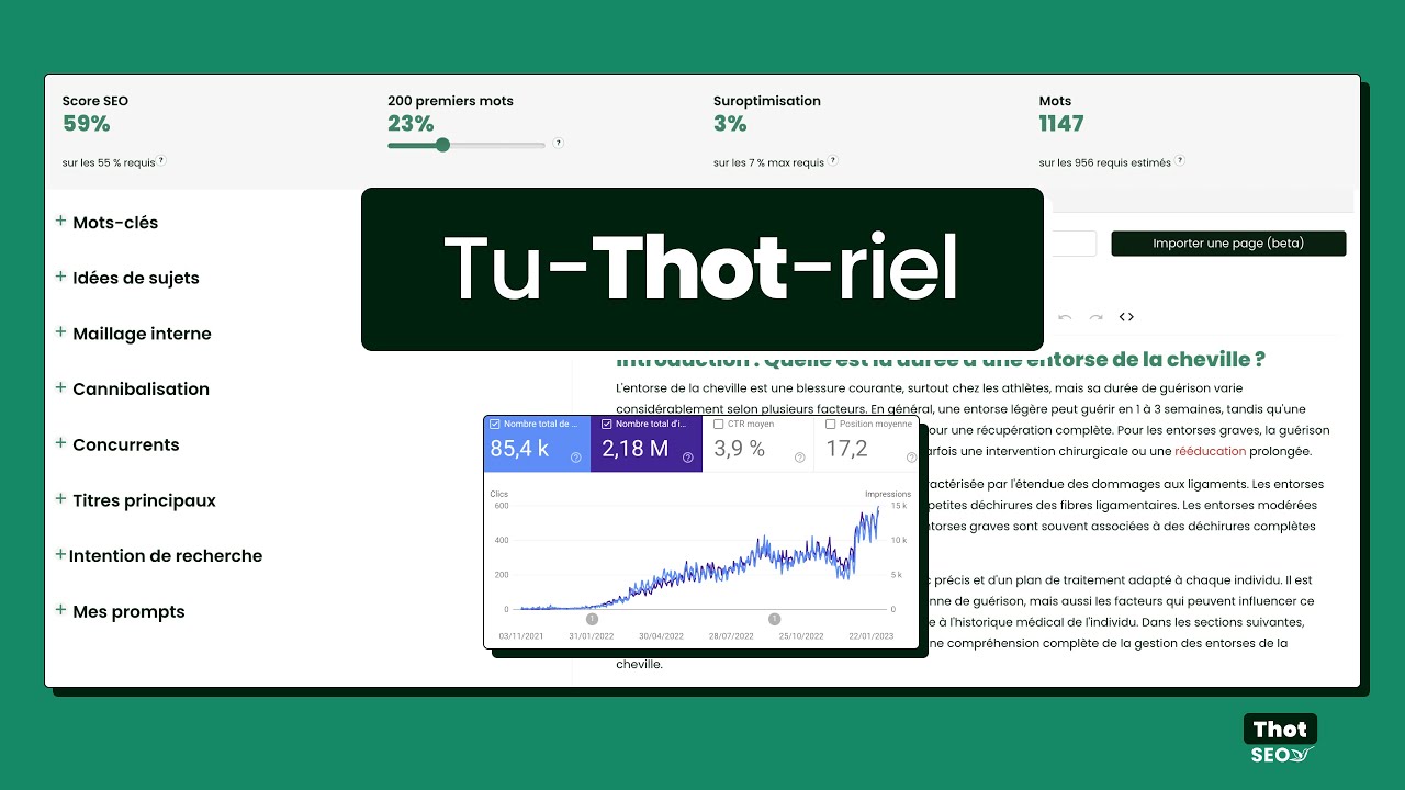 Tutoriel ThotSEO complet : optimiser tout votre process de rédaction de contenus SEO (Tu-thot-riel)