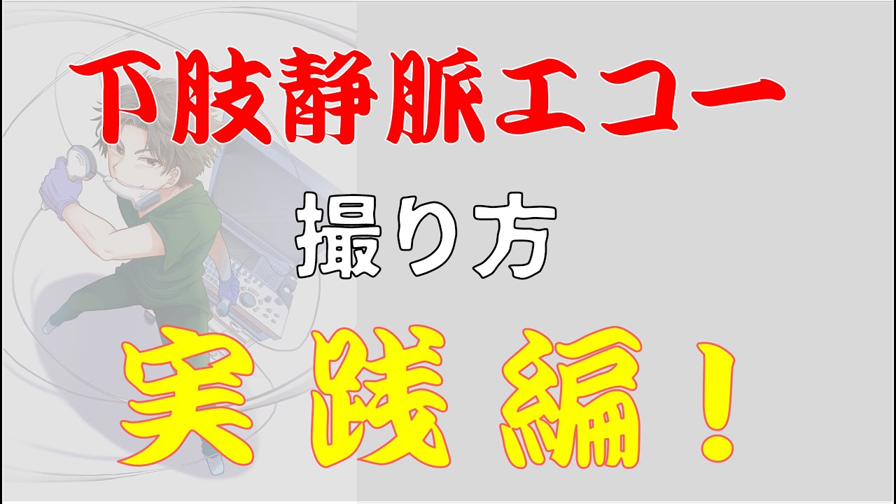 【下肢静脈エコー】検査の進め方と観察のポイント！