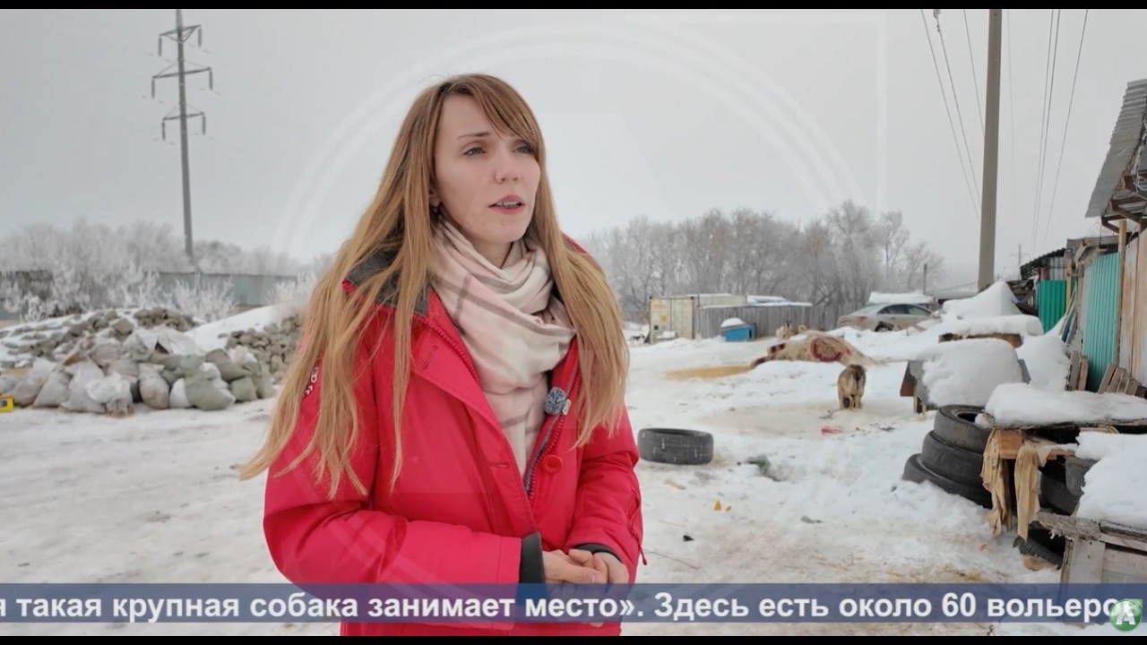 Выпуск ТВ-новостей - 17.03.26